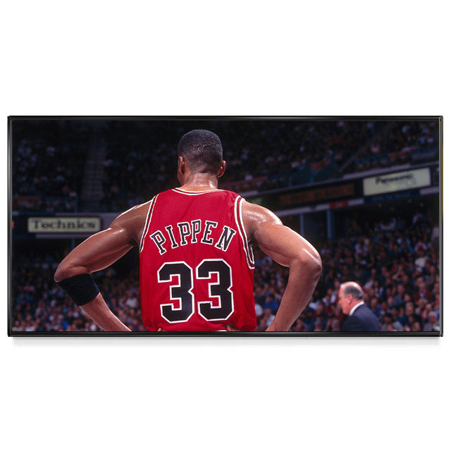 Scottie Pippen wall art