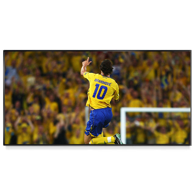 Zlatan Ibrahimovic Wall Art