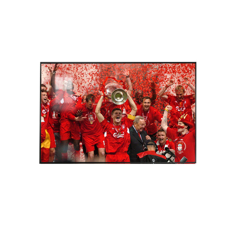 Steven Gerrard Wall Art