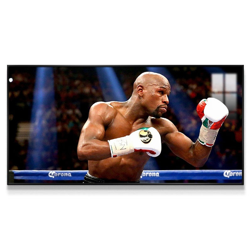 Floyd Mayweather Wall Art