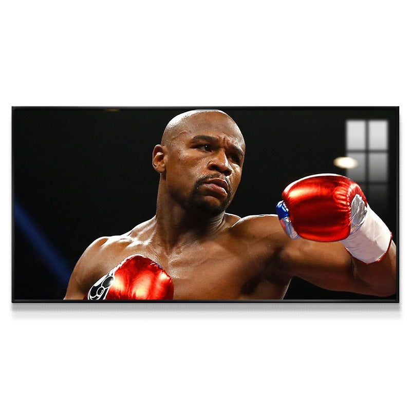 Floyd Mayweather Wall Art