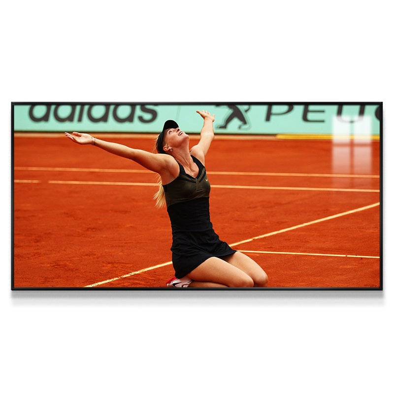 Maria Sharapova Wall Art
