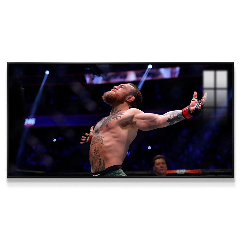 Conor McGregor Wall Art