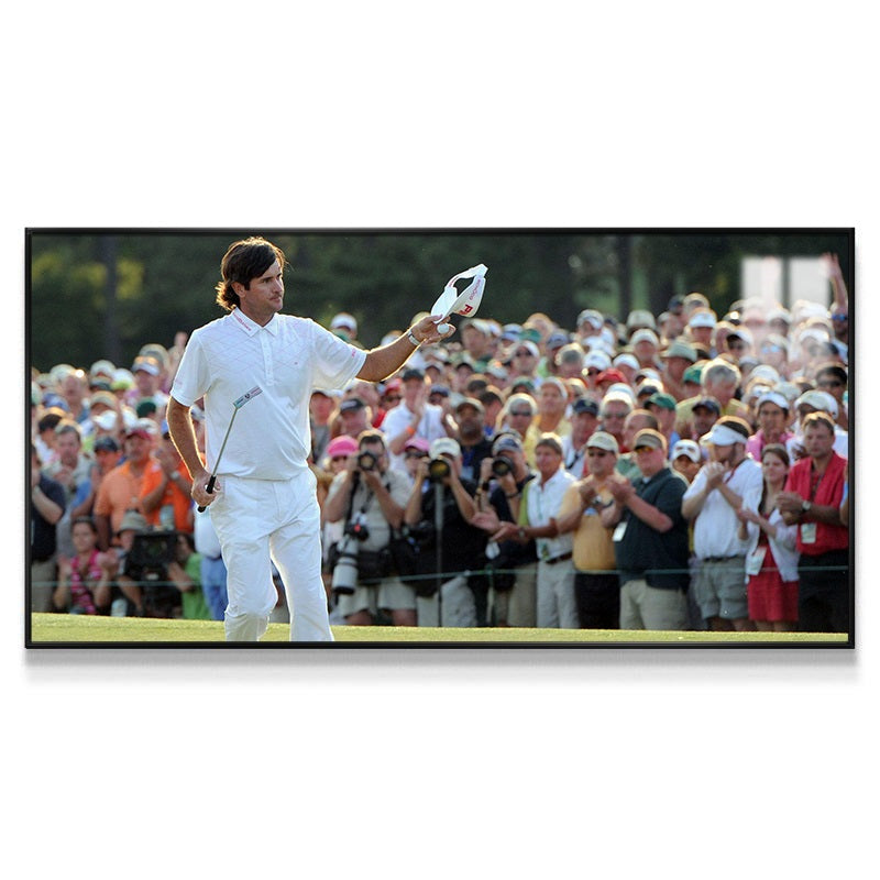 Roger Federer Wall Art