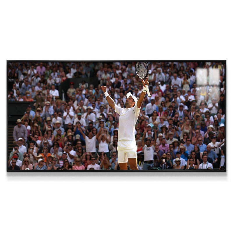 Novak Djokovic Wall Art