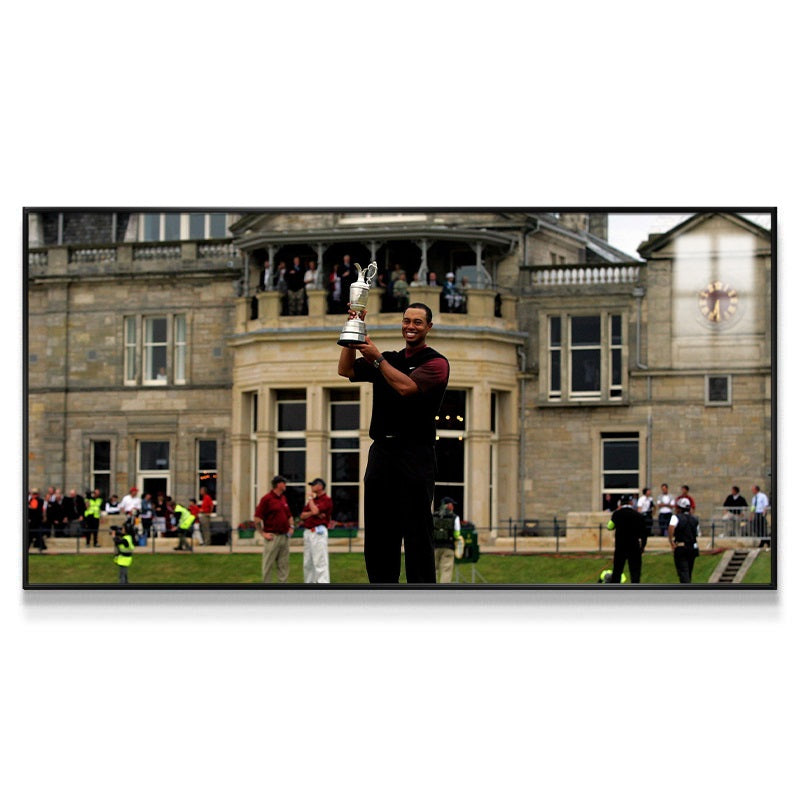 Tiger Woods Wall Art
