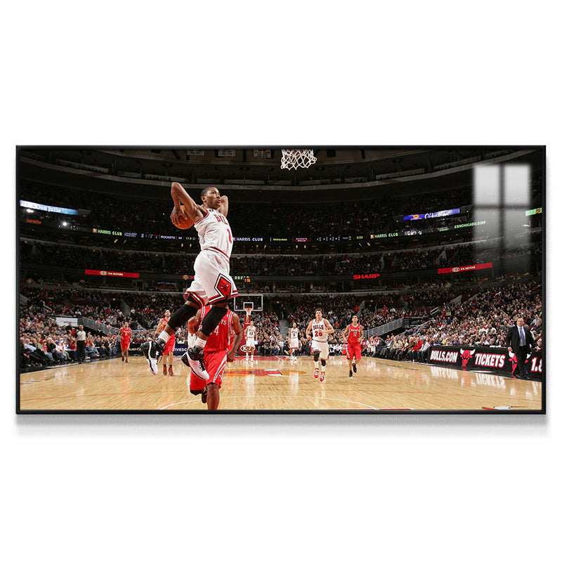 Derrick Rose Wall Art