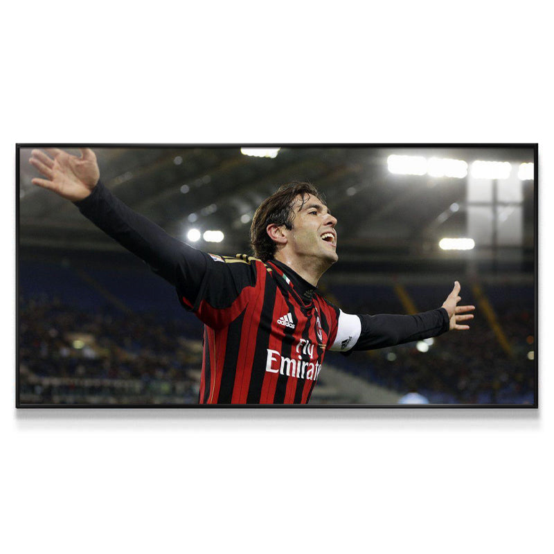 Kaka Wall Art