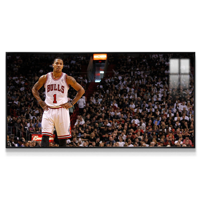 Derrick Rose Wall Art