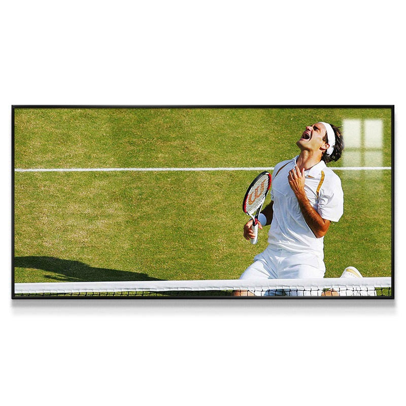 Roger Federer Wall Art