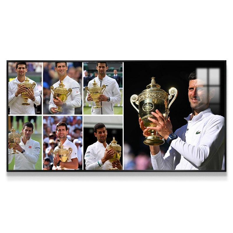 Novak Djokovic Wall Art
