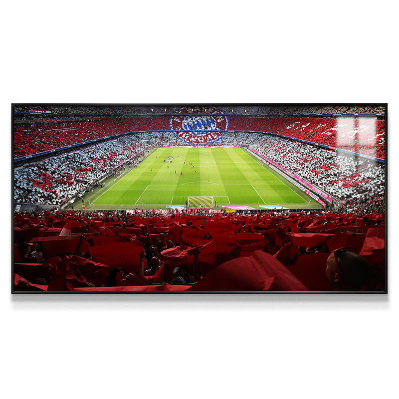 FC Bayern Munich Wall Art