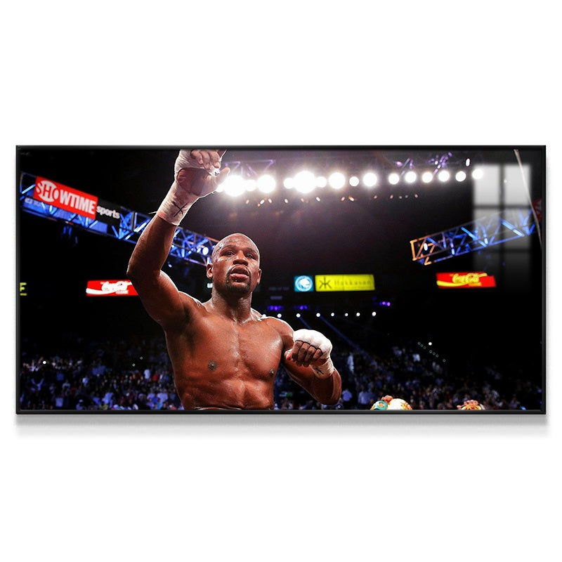 Floyd Mayweather Wall Art