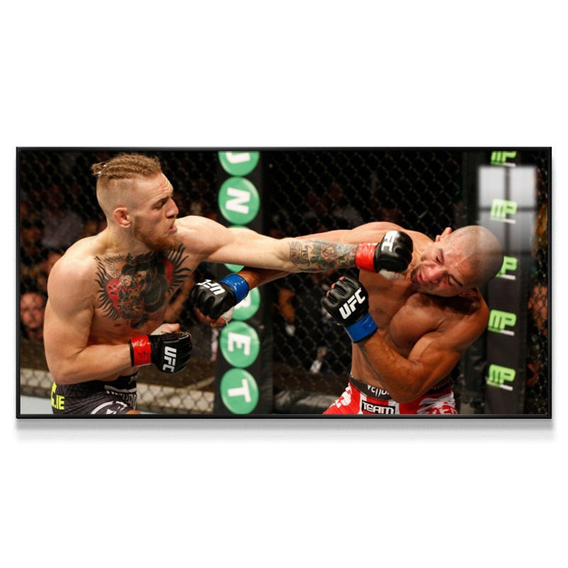 Conor McGregor Wall Art