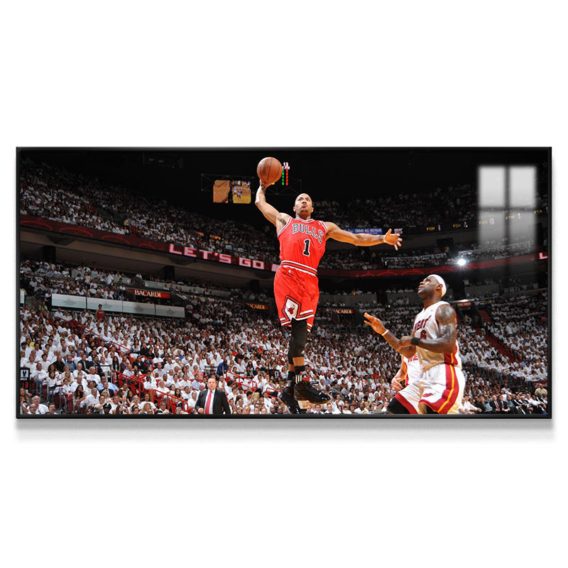 Derrick Rose Wall Art