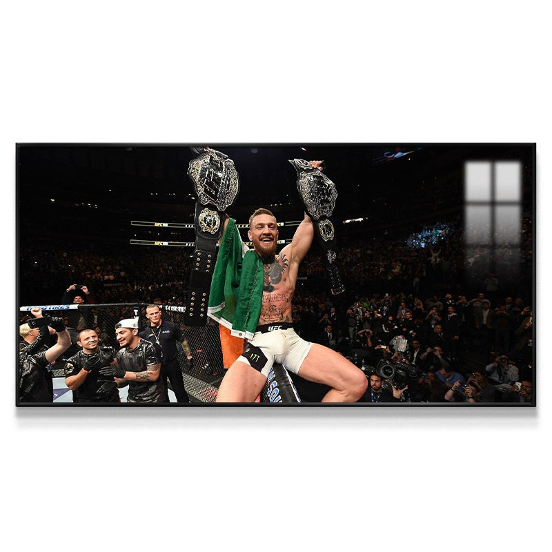 Conor McGregor Wall Art