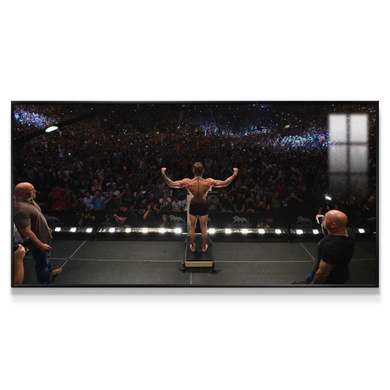 Conor McGregor Wall Art