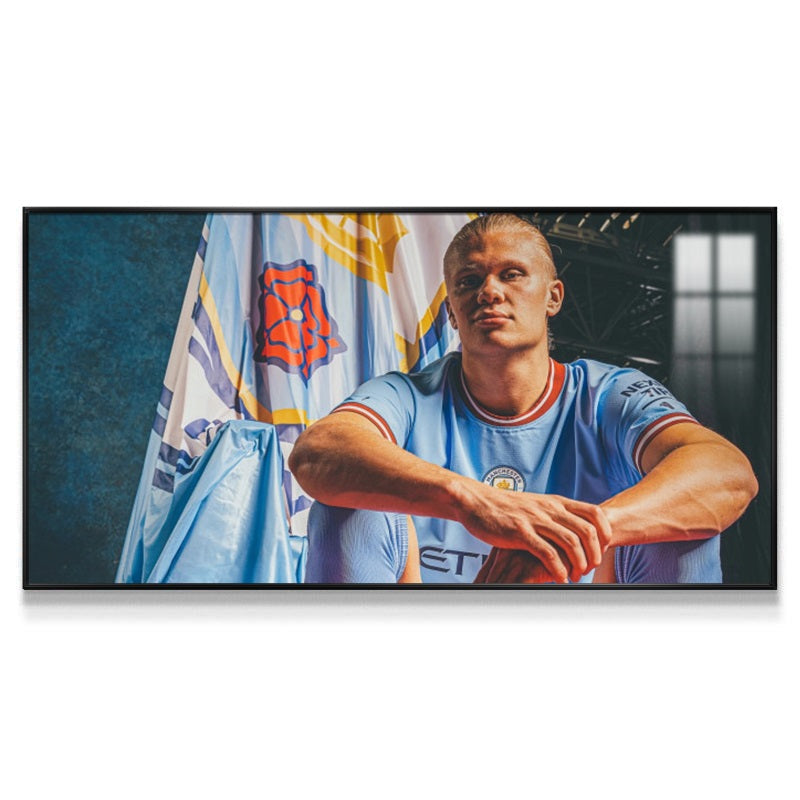 Erling Haaland Wall Art