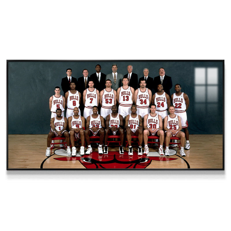 Chicago Bulls Wall Art