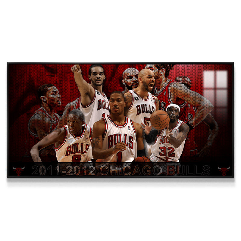 Chicago Bulls Wall Art